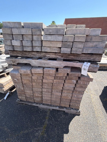 Pallet and half of Pavers
