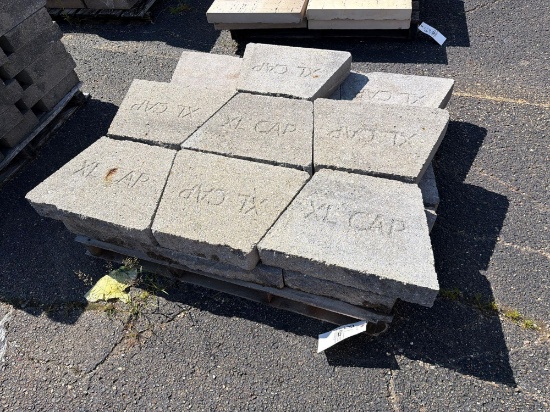 Pallet of XL Caps