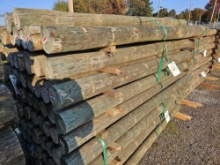 New treated fence posts, 4x8, bid x 45