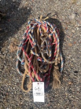 Halters