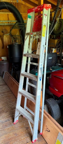 Werner Alum Step Ladder