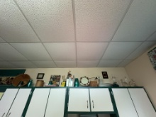 decor items above kitchen cupboards, including Longaberger basket, Swan