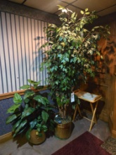 Faux Plants and TV Tray