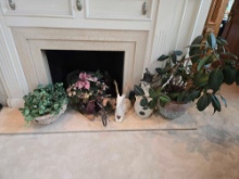 Plant, Birdcages & Decor