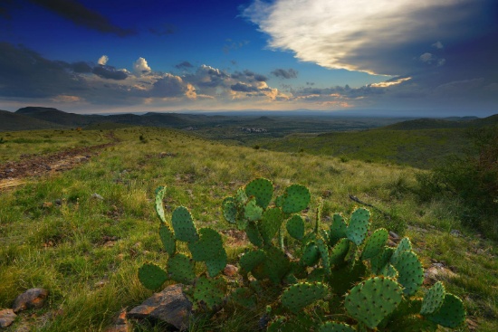 Five Acre Texas Ranch near National Park!