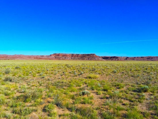 Fantastic 40-Acre Arizona Ranch Near Interstate 40!