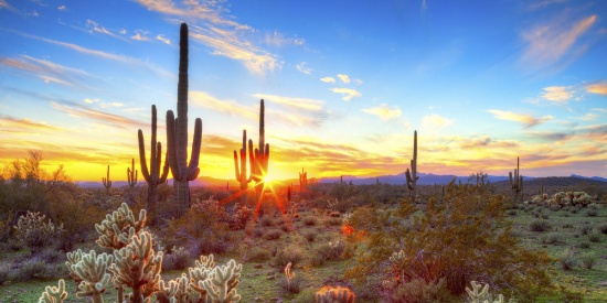 GIANT 106-Acre Arizona Ranch with Railroad on one side and National Park on the Other!