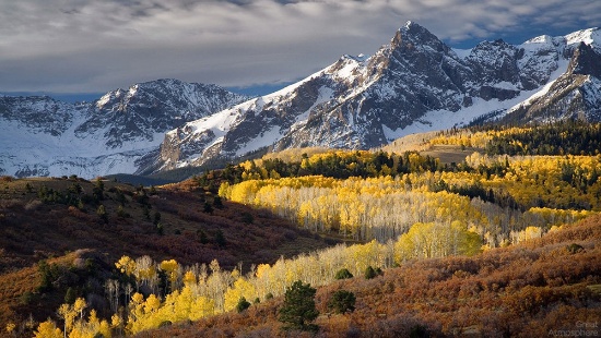 Grow Your Own in Colorado!