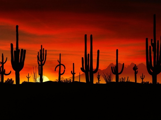 GIANT 106-Acre Arizona Ranch with Railroad on one side and National Park on the Other!