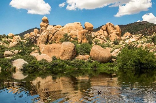 The Views of Cochise County+Twin Lakes Country Club