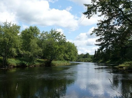MAINE RETREAT! Explore the Great Outdoors!  Hunt and fish on your own gorgeous 72.5 acre retreat!