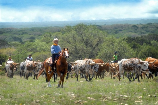 FINANCE Your Own Texas Ranch, Partner!  Everyone Qualifies!