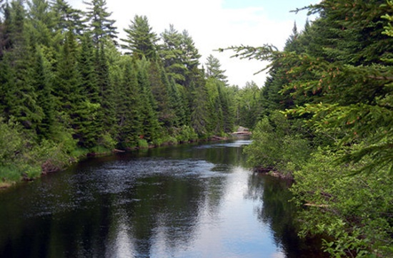 River Front Property with Ample Road Frontage! What More Could You Ask For in Serene Maine?
