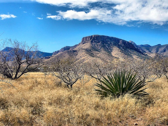 Amazing Arizona Property with Magnificent Views!