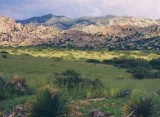 The Views of Cochise County+Twin Lakes Country Club