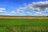 Cozy Lot Located in Macon County, Illinois.