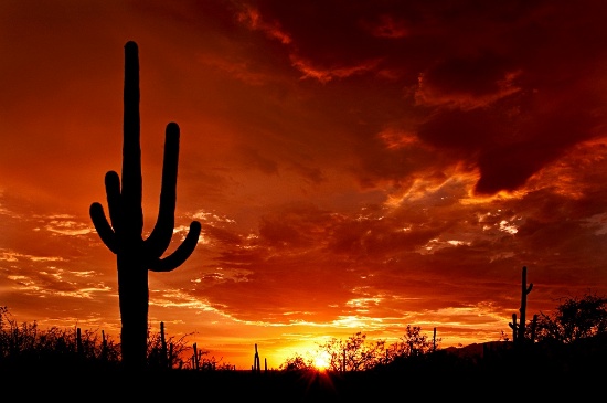 Enjoy Hiking Trails with a Breathtaking View of the Painted Desert!