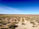 Lasso Your Own 37 Acre Ranch off I-40 in Arizona