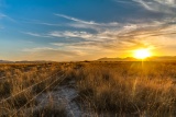 Enjoy the Beautiful Views of the Sonoran Desert!