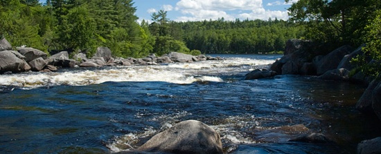 Scenic Maine Property a Short Walk to the Mighty Aroostook River!