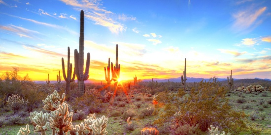 40 Vast Acres of Beautiful Arizona Land - Adjacent to Railroad Line!