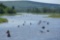Hop, Skip and a Jump to the Aroostook River!