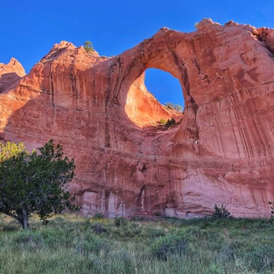 Gorgeous 37 Acre Ranch in the Grand Canyon State!