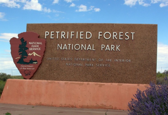 One Acre Near the Petrified Forest National Park!