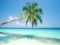 Own a Piece of Paradise in the Water Lover's Florida!