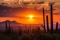 Fantastic Area for Fine Wines in Arizona - Move Over California!