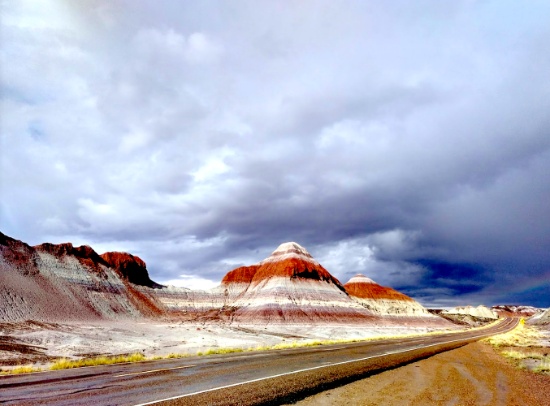 Own your own 1+ Acre Magnificent Getaway Lot near the Petrified Forest in Northeast Arizona