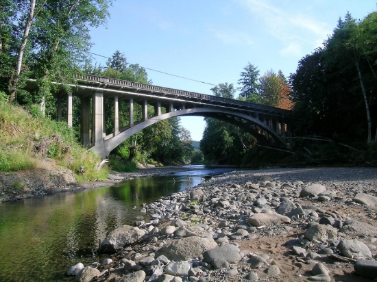 Wooded Lot near The Beautiful Chehalis River!