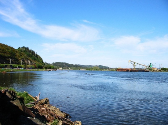 Own a Lot near the Beautiful Chehalis River in the Pacific Northwest!