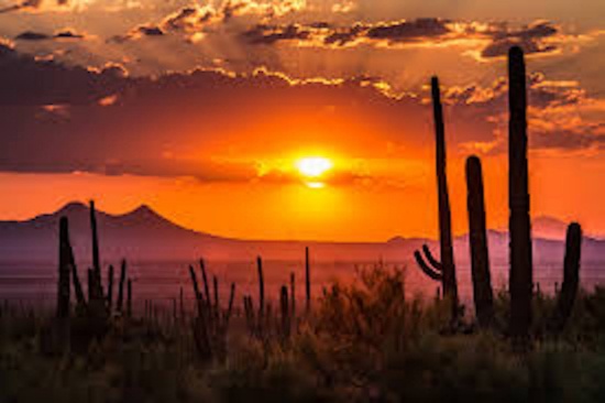 Fantastic Area for Fine Wines in Arizona - Move Over California!