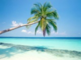 Own a Piece of Paradise in the Water Lover's Florida!