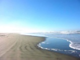 1/4 Mile from the Beach! Enjoy Beautiful Grays Harbor, WA