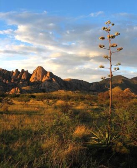 One Acre Near the Petrified Forest National Park!