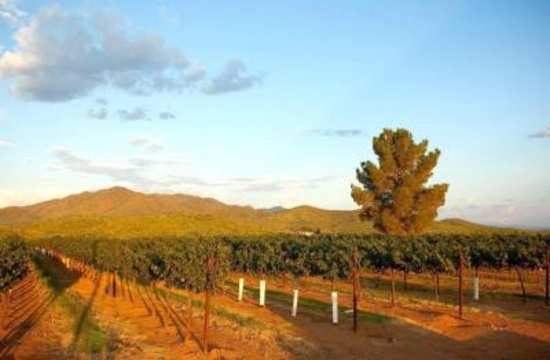 Fantastic Area for Fine Wines in Arizona - Move Over California!