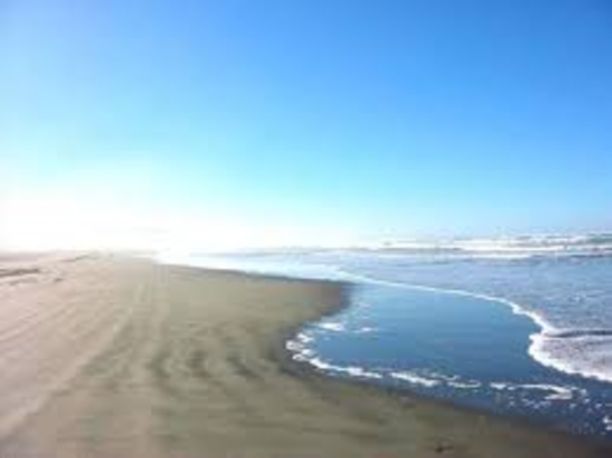 Fascinating Grays Harbor and Mighty Pacific Beaches!