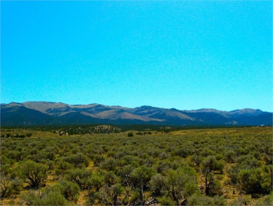 40 AMAZING Acres in Pershing County, NV - Where Your Next Adventure Awaits!