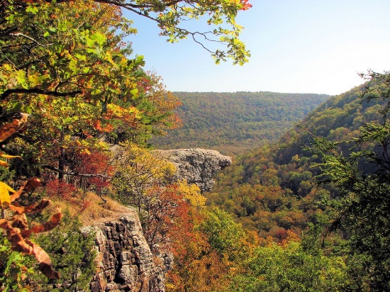 Fresh Country Air: Sharp County, Arkansas!