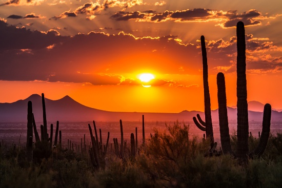 New Offerings in Arizona's Painted Desert!