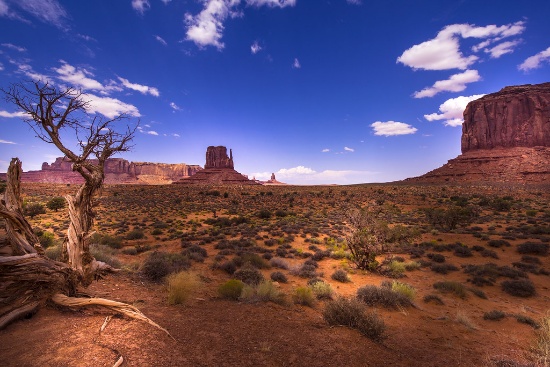 Beautiful Landscapes in Arizona!
