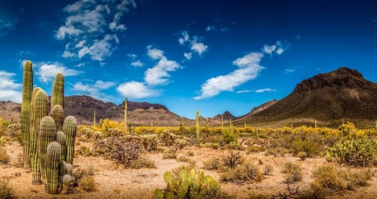 Beautiful Views in Navajo County, Arizona!