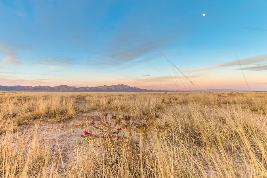 Five Contiguous Lots - A Quiet Oasis at the Edge of Historic Downtown Willcox in Cochise County