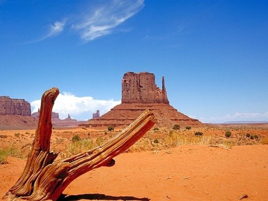 Iconic Vistas in Navajo County, Arizona!