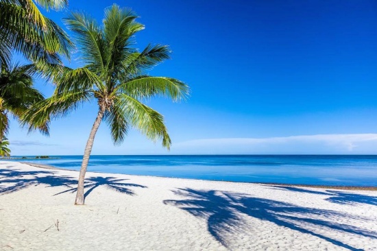 Live Near Amazing Beaches in Peaceful Port Charlotte, FLORIDA!