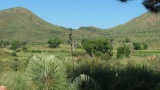 A Quiet Oasis at the Edge of Historic Downtown Willcox in Cochise County