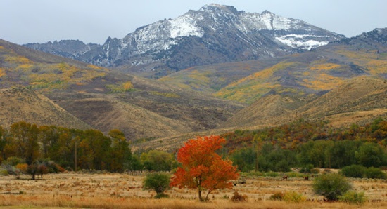 Escape to the High Desert in Elko County, NV! Adjacent to Lot 19!