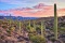 Beautiful Views in Navajo County, Arizona!